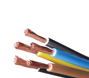 Single Core Cables